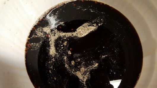 wp-1451919600743 image