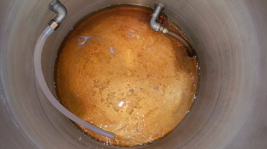 IMG_-kvoloe.jpg image