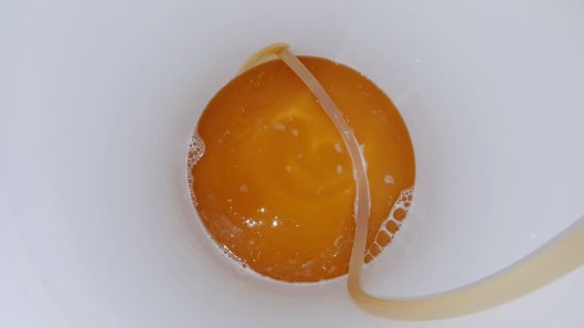 IMG_-o98x5p.jpg image