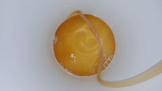 IMG_-ps7wry.jpg image