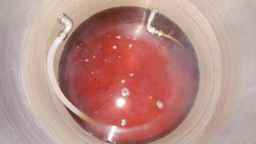 IMG_e58my1.jpg image